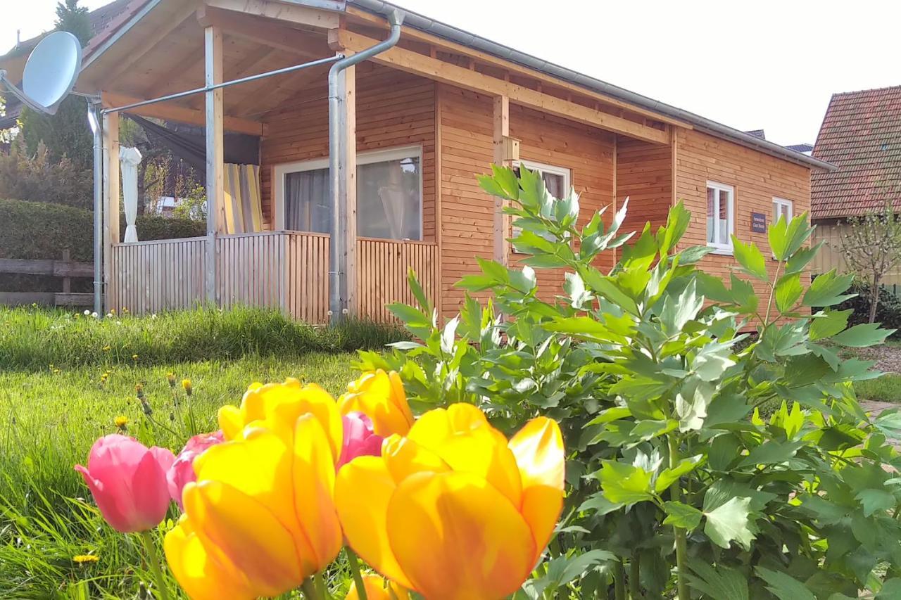 Loßburg Tiny-Ferienhaeusle Casa Wendy 빌라 외부 사진